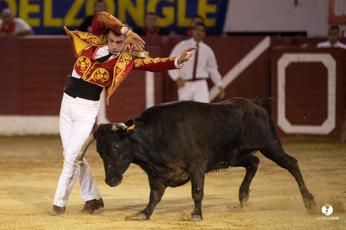 Landes émotions à Aire-sur-l'Adour