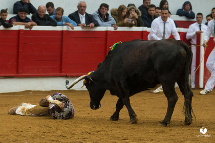 Nogaro Championnatde France de Course Landaise 2017
