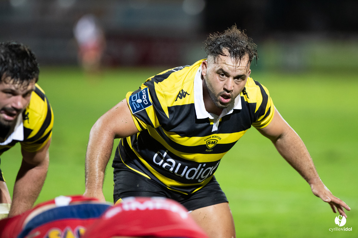 Stade Montois Rugby - Grenoble