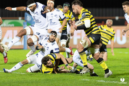 Stade Montois Rugby - Colomiers