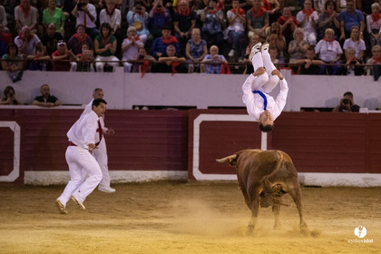 Landes émotions à Aire-sur-l'Adour