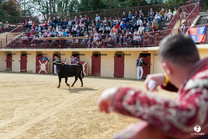 Course landaise Le Houga Ganadéria Dussau Cuadrilla Alexandre Brethes