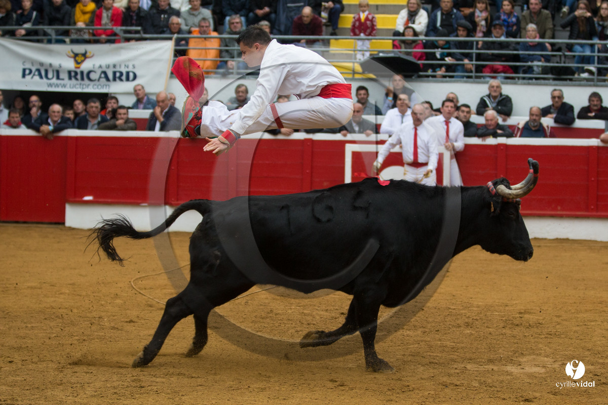Nogaro Championnatde France de Course Landaise 2017