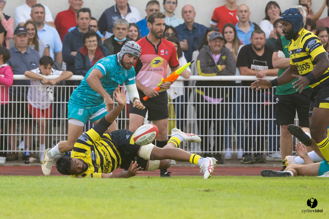 Dax - Stade Montois Rugby