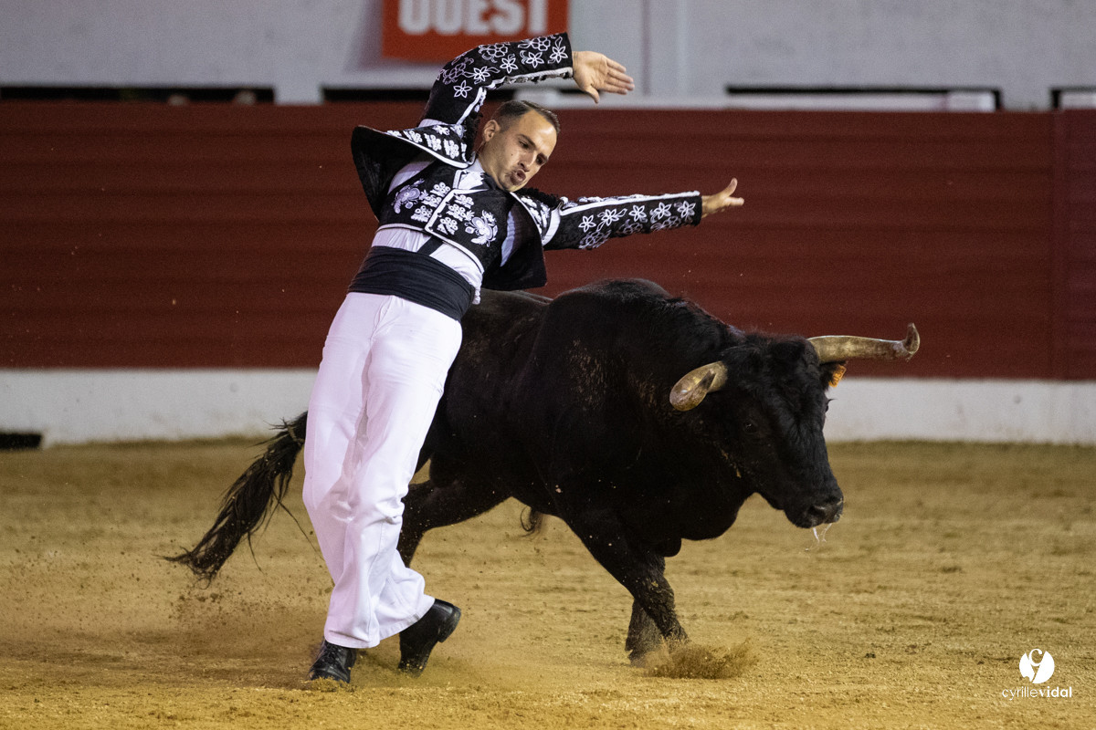 Landes émotions à Aire-sur-l'Adour