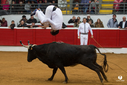 Nogaro Championnatde France de Course Landaise 2017