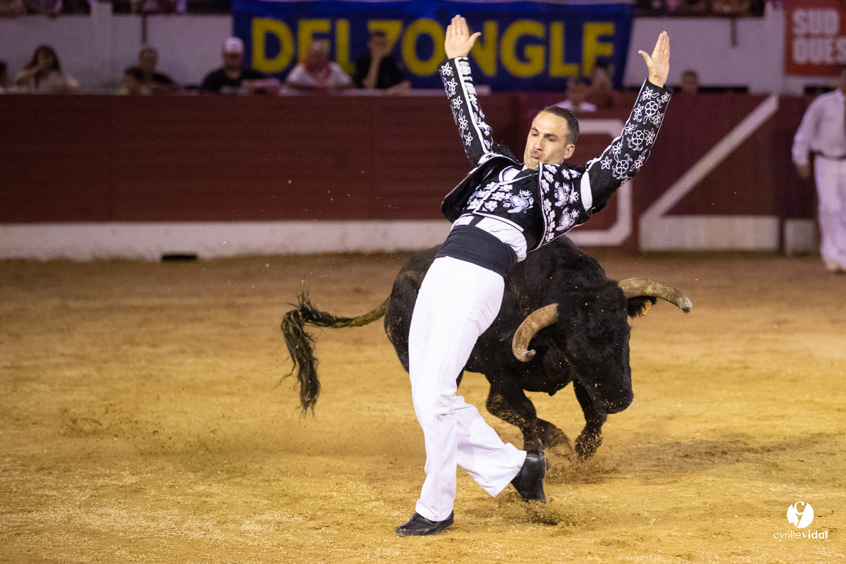 Landes émotions à Aire-sur-l'Adour