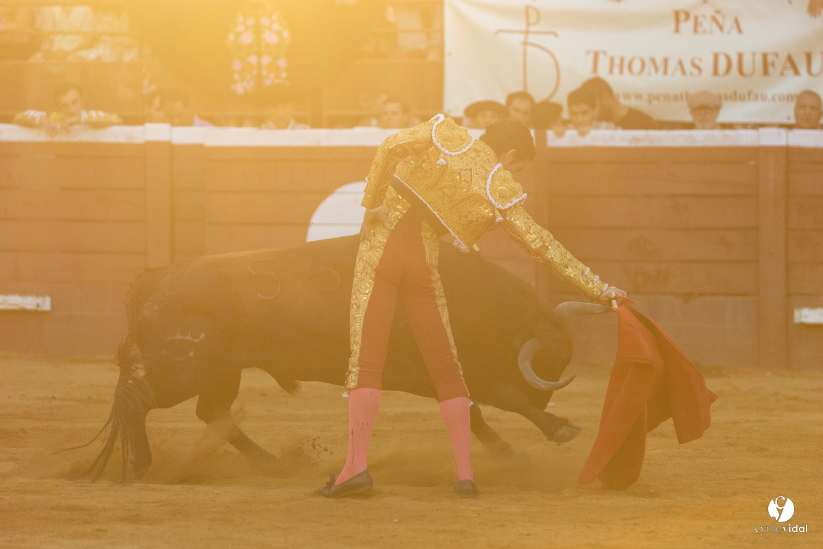 Corrida de Villeneuve-de-Marsan