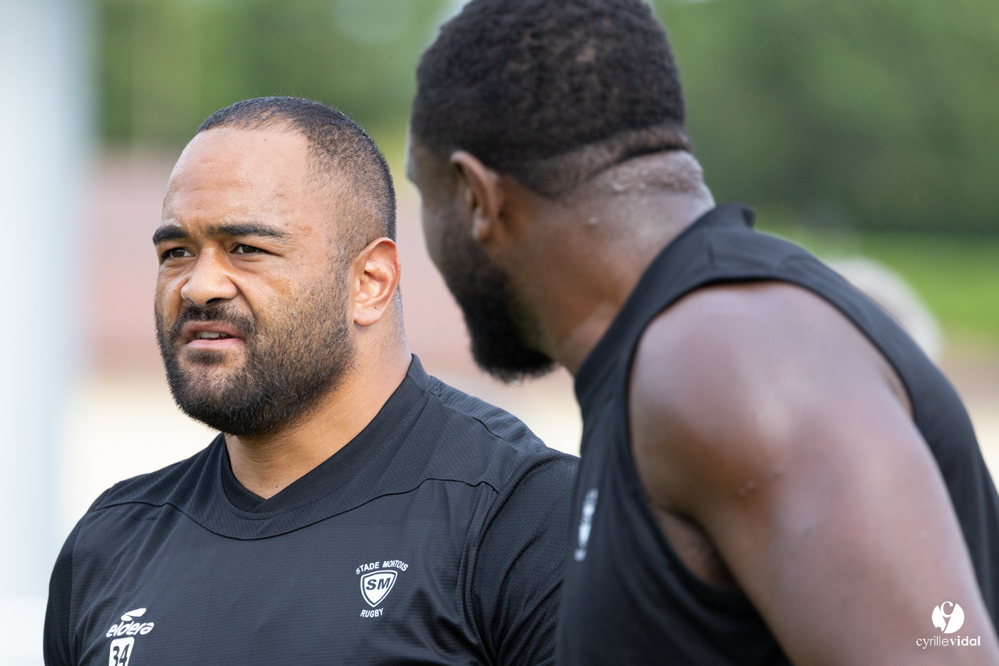 Dax - Stade Montois Rugby