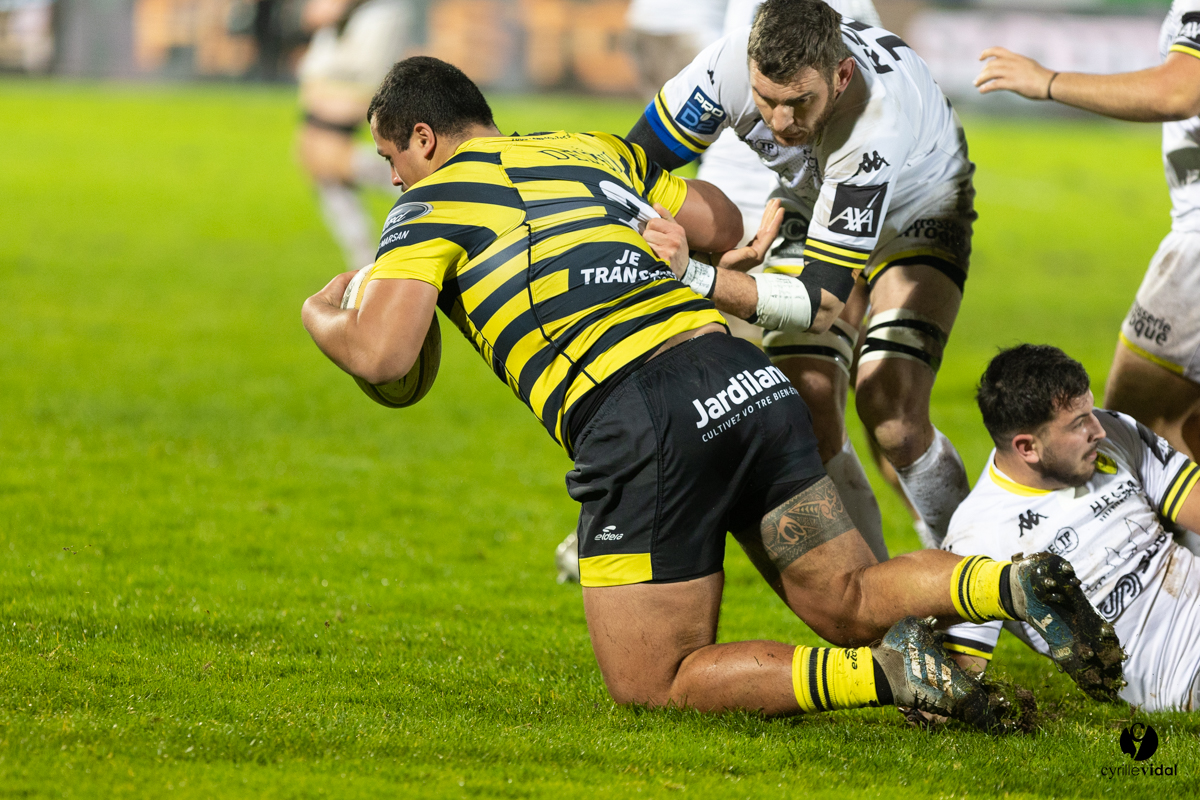 Stade Montois Rugby - Carcassonne