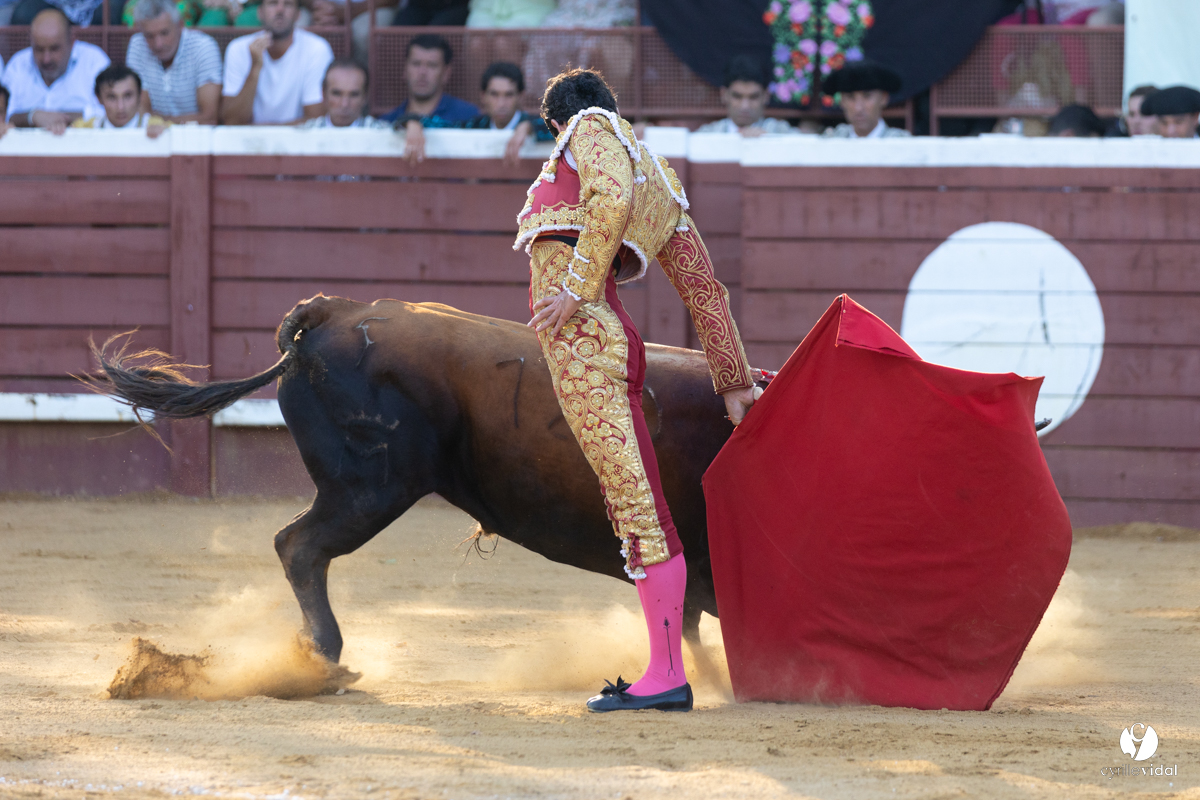 Corrida de Villeneuve-de-Marsan