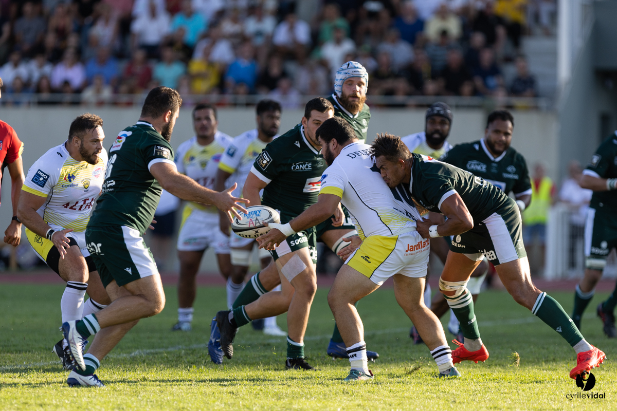 Stade Montois Rugby - Section Paloise