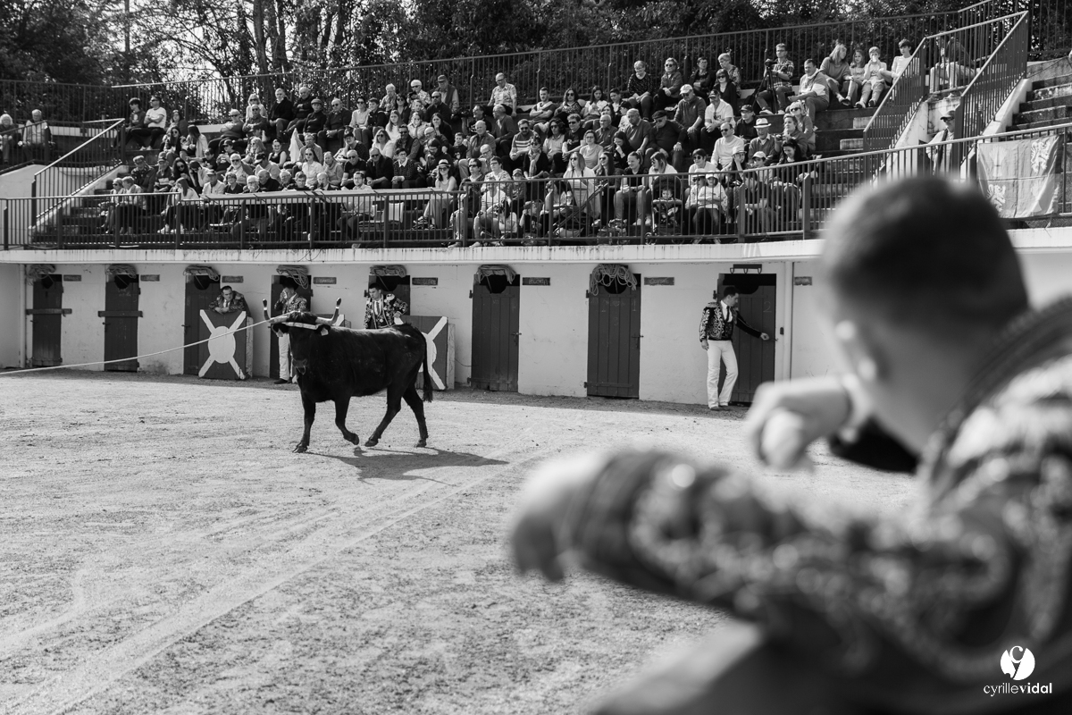 Course landaise Le Houga Ganadéria Dussau Cuadrilla Alexandre Brethes