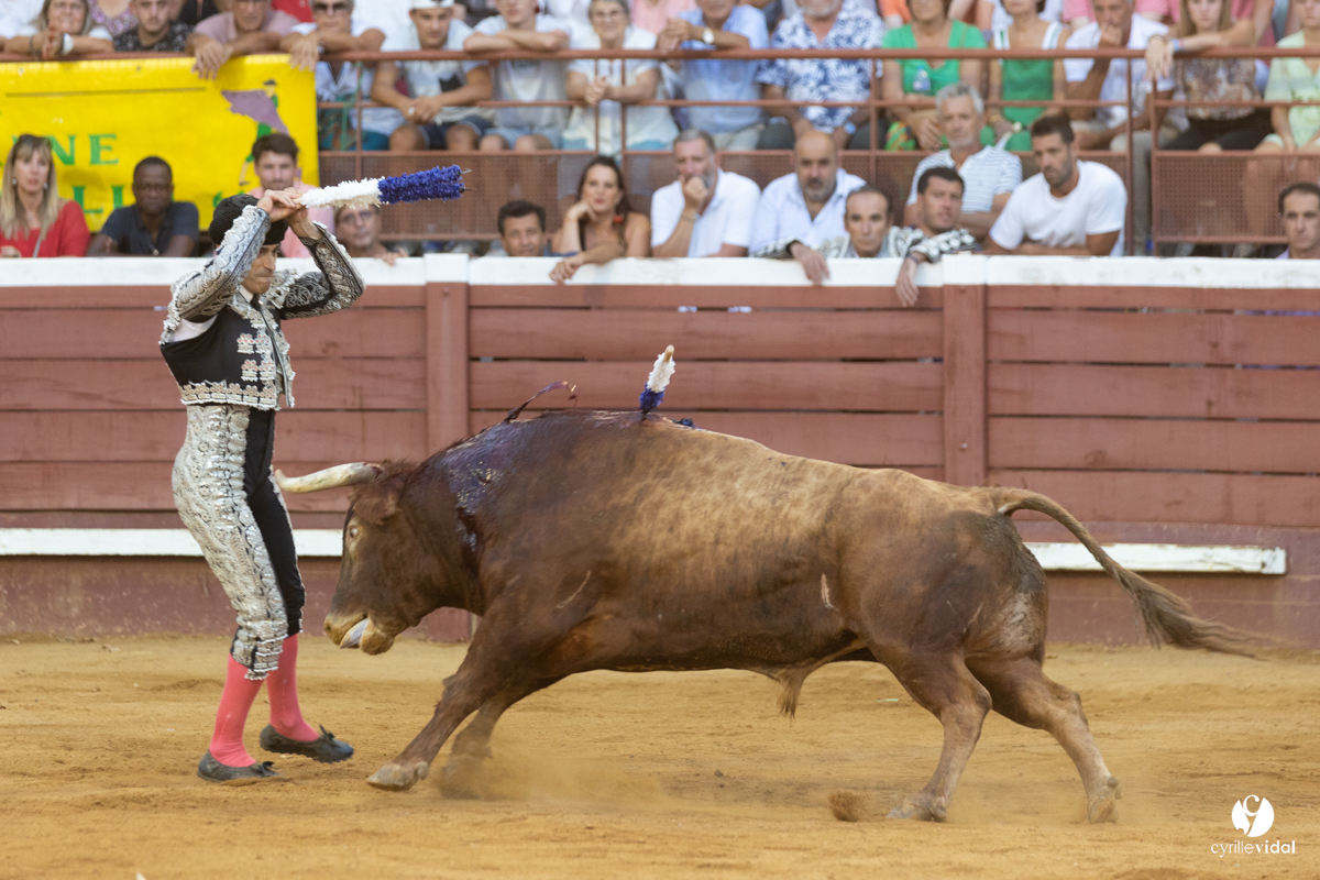 Corrida de Villeneuve-de-Marsan