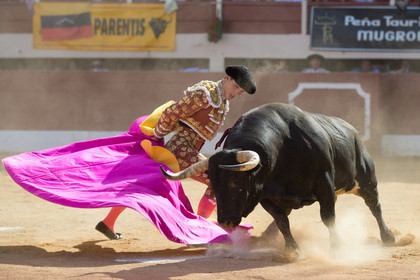 corrida, toro, vic fezensac, alcurrucen, michelito, morenito de aranda