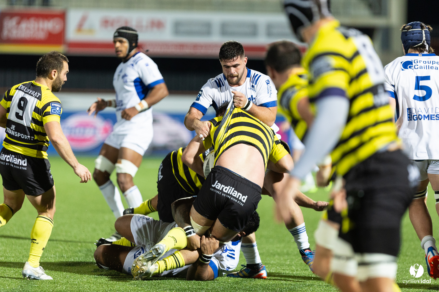 Stade Montois Rugby - Colomiers