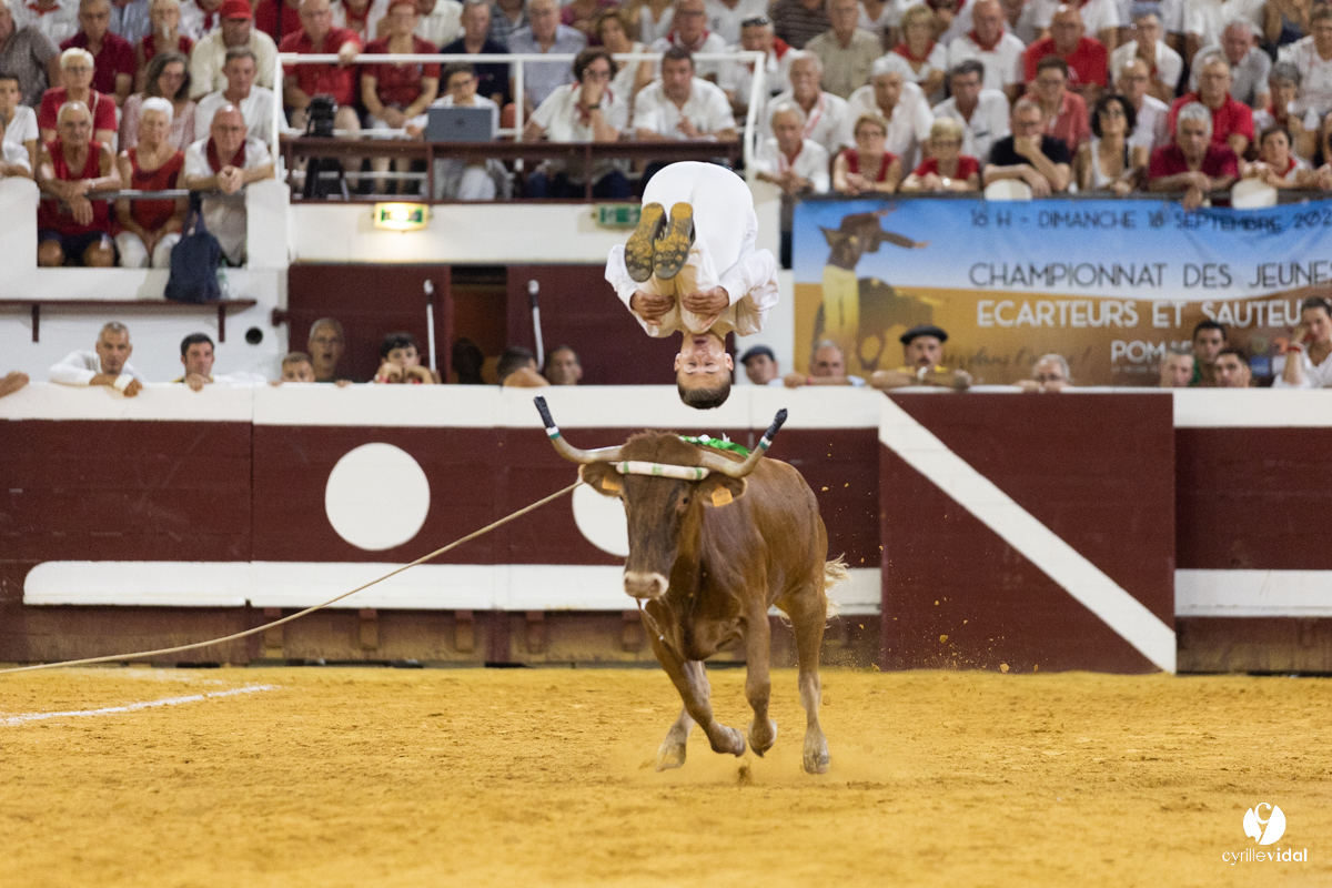 Dax concours landais 2022