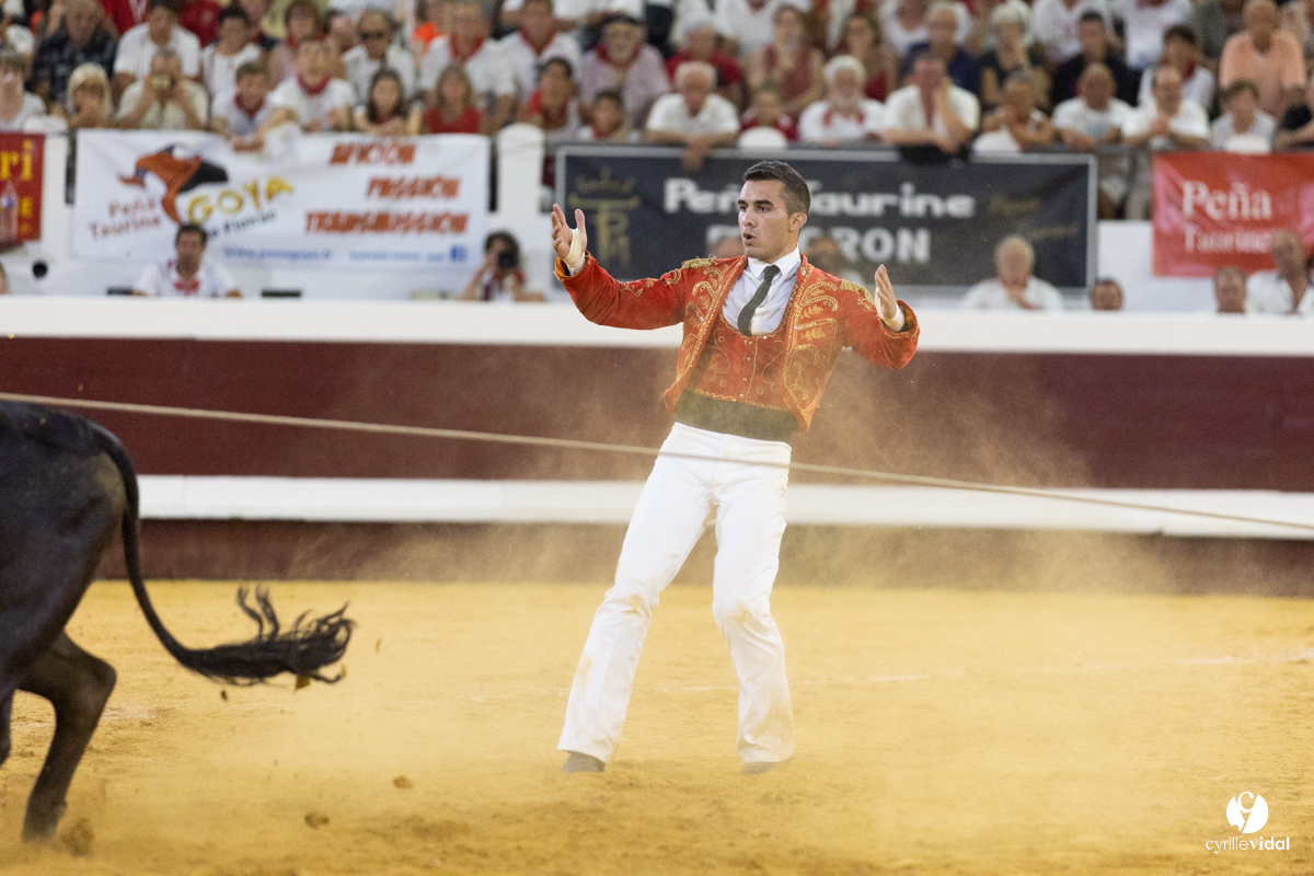 Dax concours landais 2022