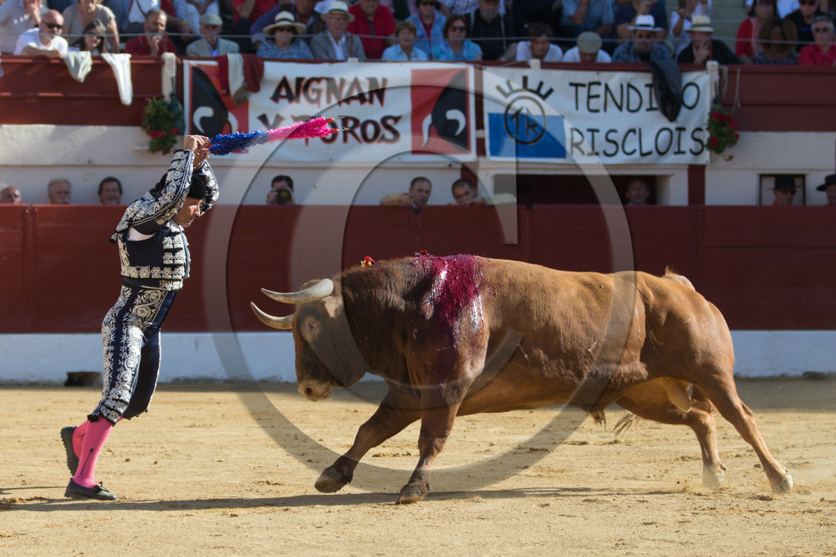 corrida, toro, vic fezensac, alcurrucen, michelito, morenito de aranda