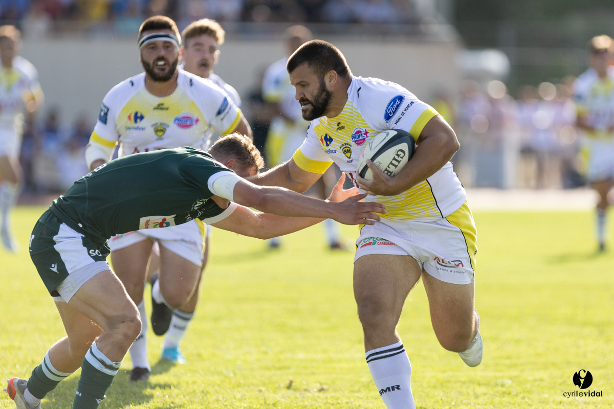Stade Montois Rugby - Section Paloise