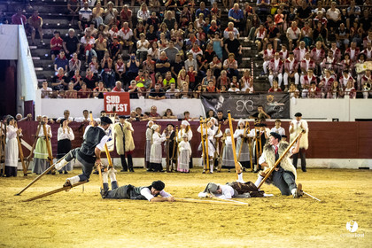 Landes émotions à Aire-sur-l'Adour