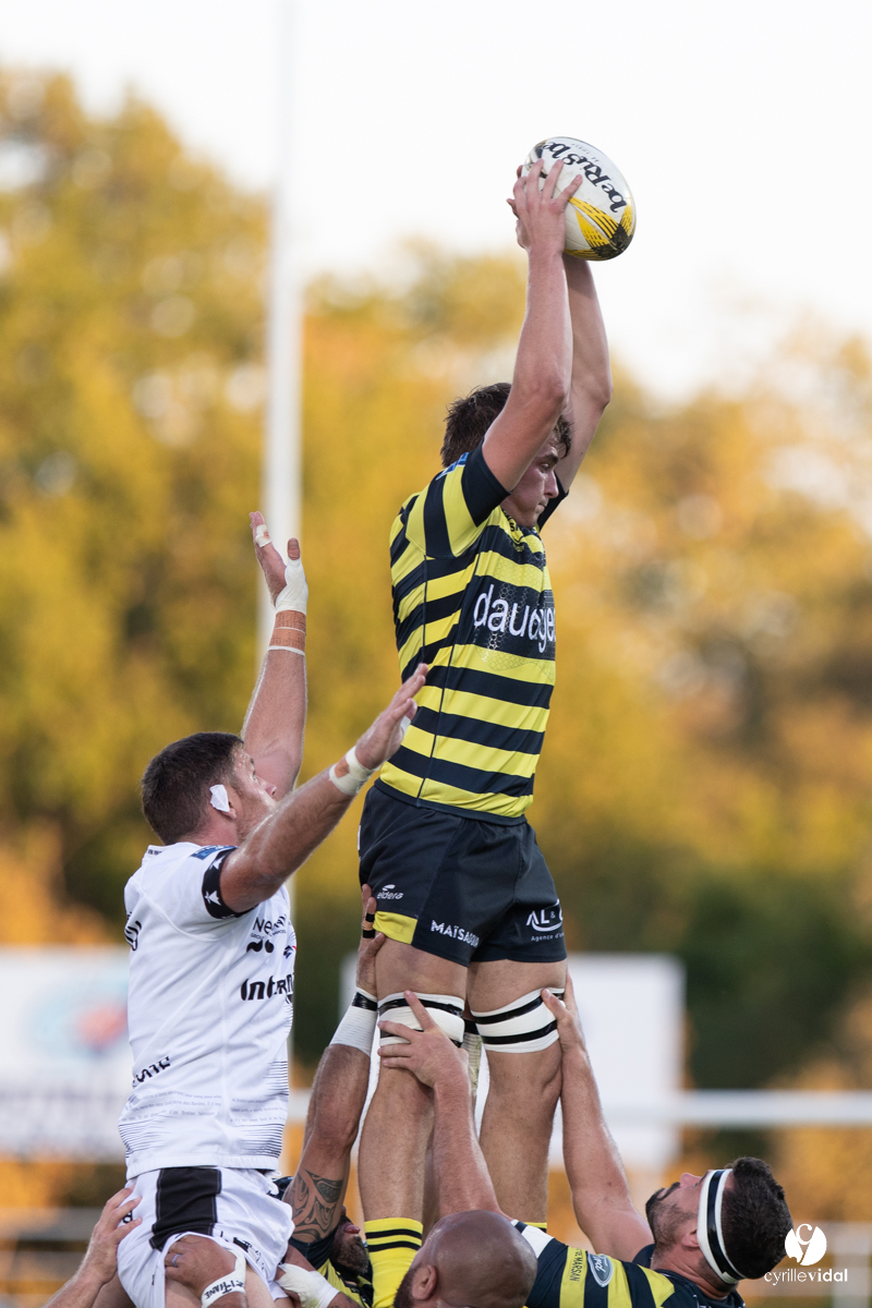 Stade Montois Rugby - Vannes