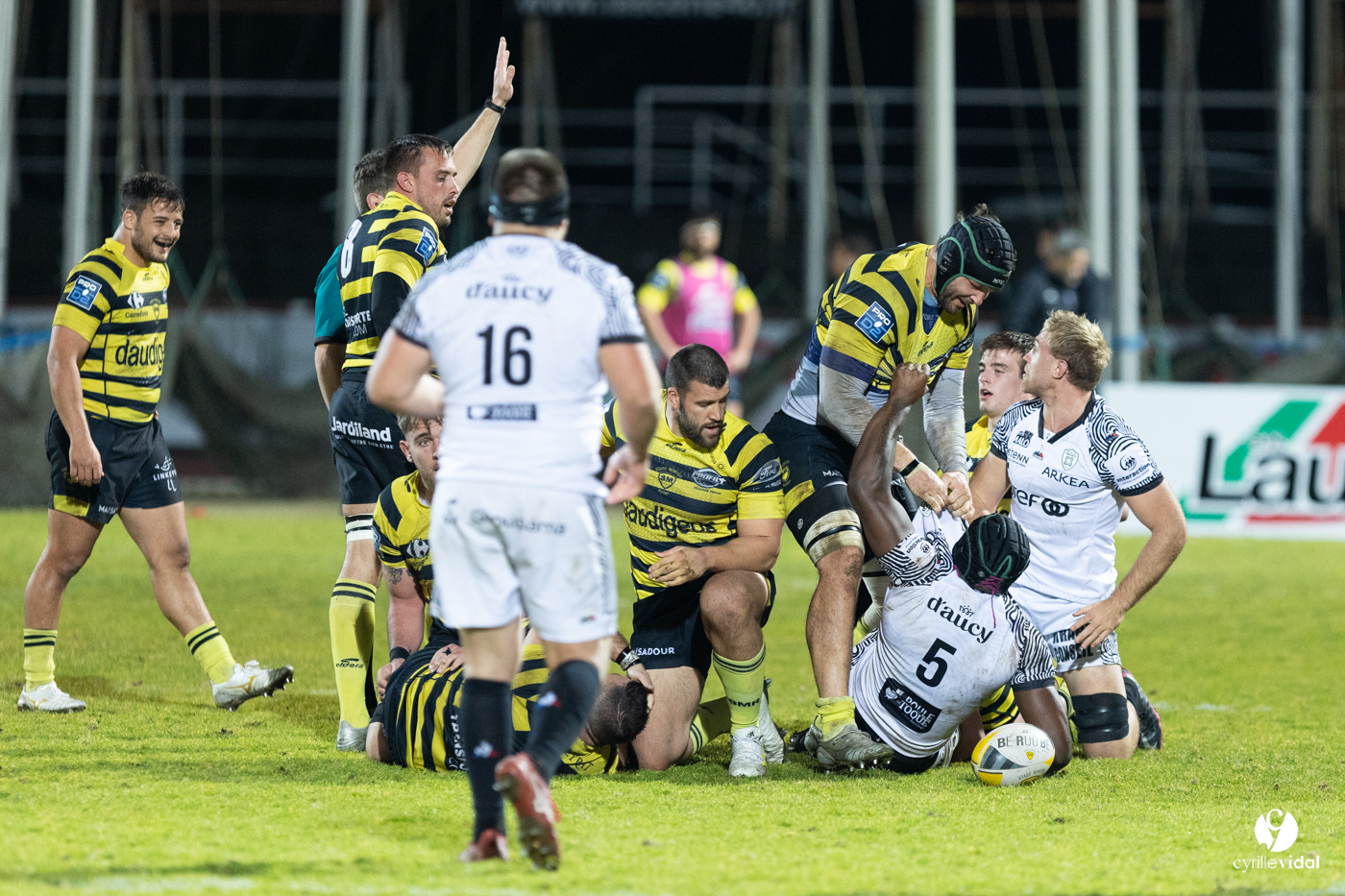 Stade Montois Rugby - Vannes