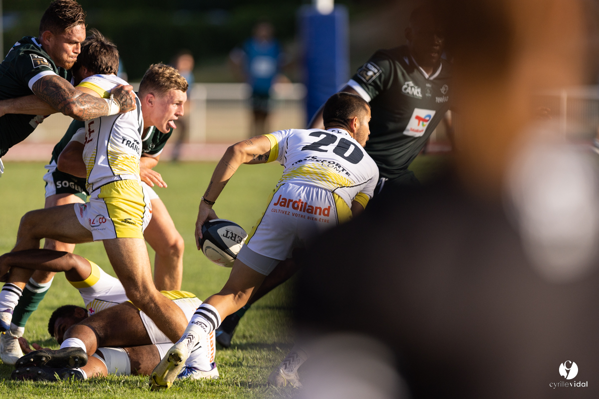 Stade Montois Rugby - Section Paloise