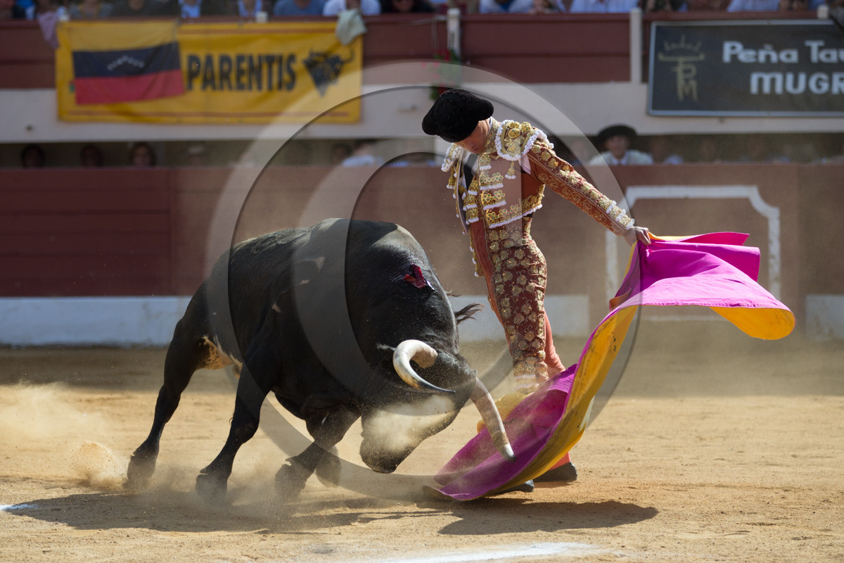 corrida, toro, vic fezensac, alcurrucen, michelito, morenito de aranda