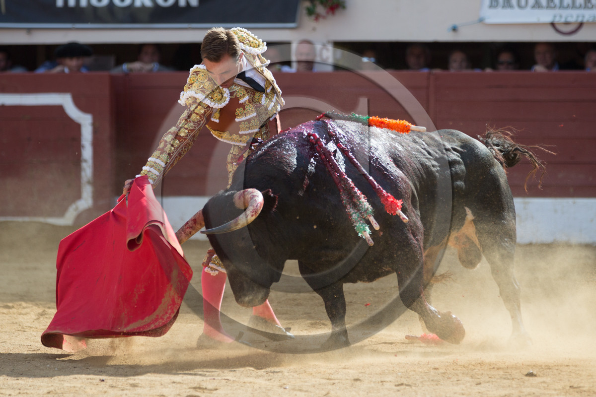 corrida, toro, vic fezensac, alcurrucen, michelito, morenito de aranda