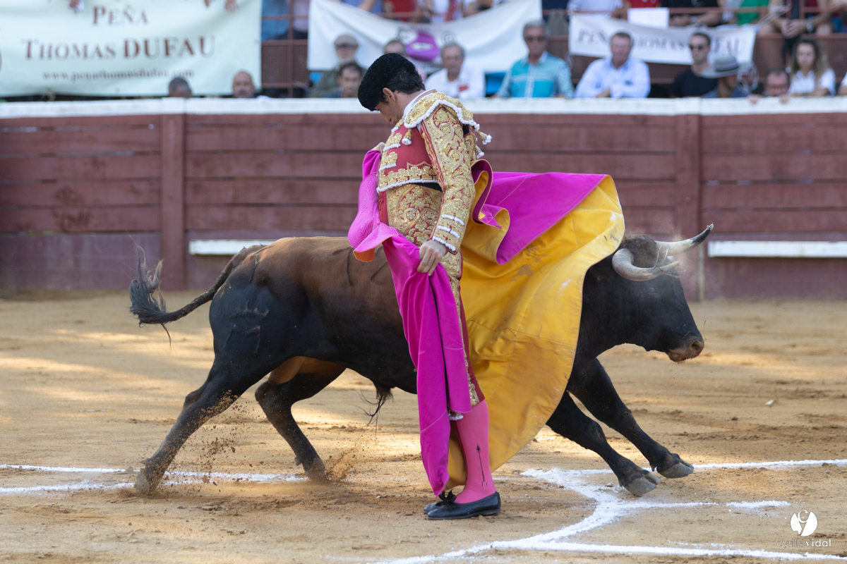 Corrida de Villeneuve-de-Marsan