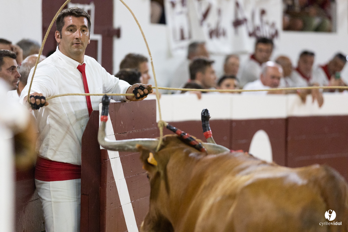 Dax concours landais 2022