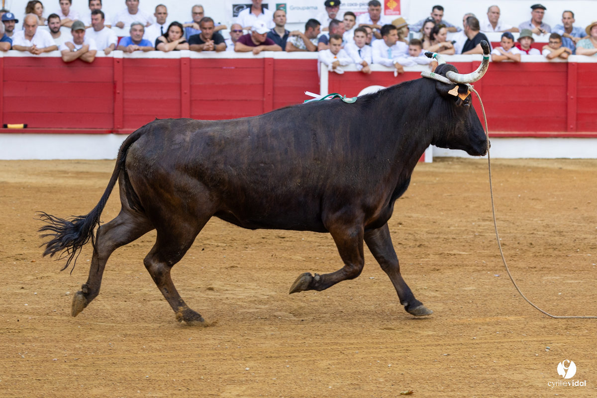Nogaro Corne d'Or 2023