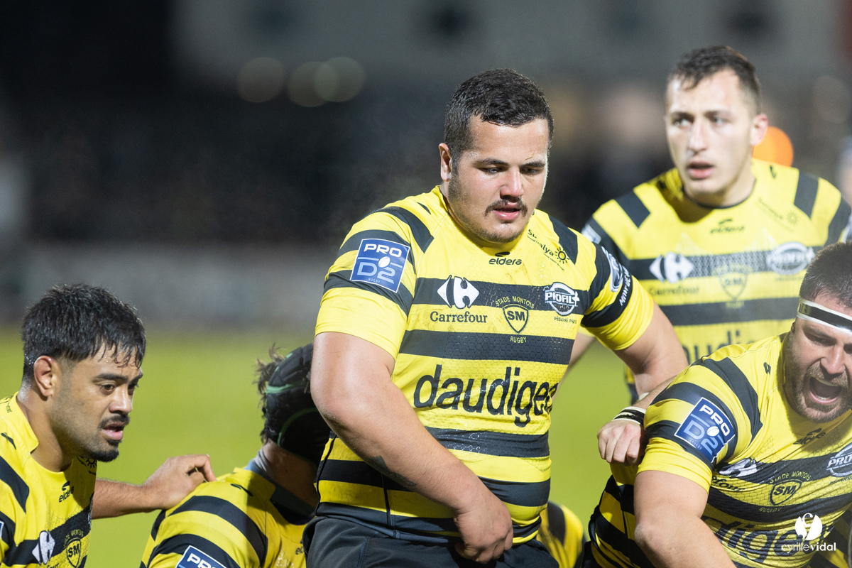 Stade Montois Rugby - Provence