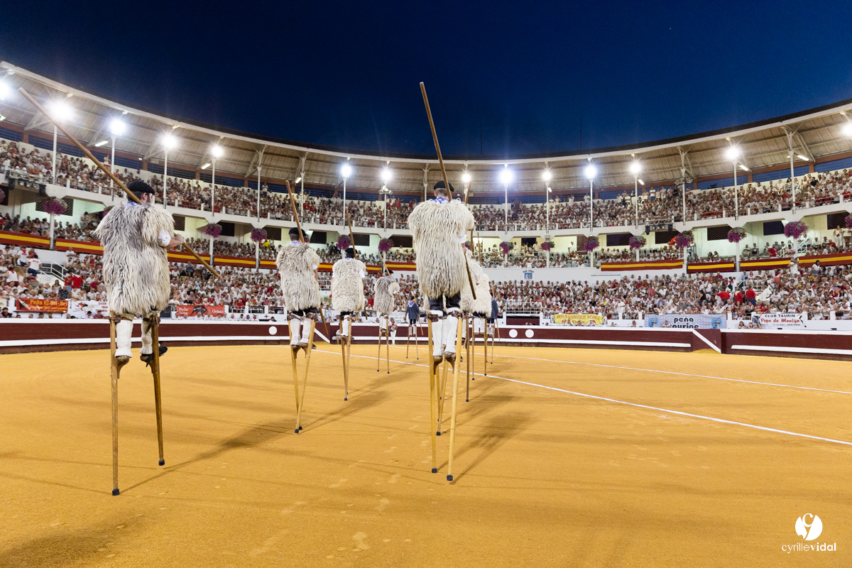 Dax concours landais 2022