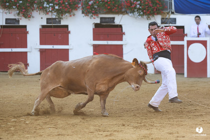 Nogaro Corne d'Or 2023