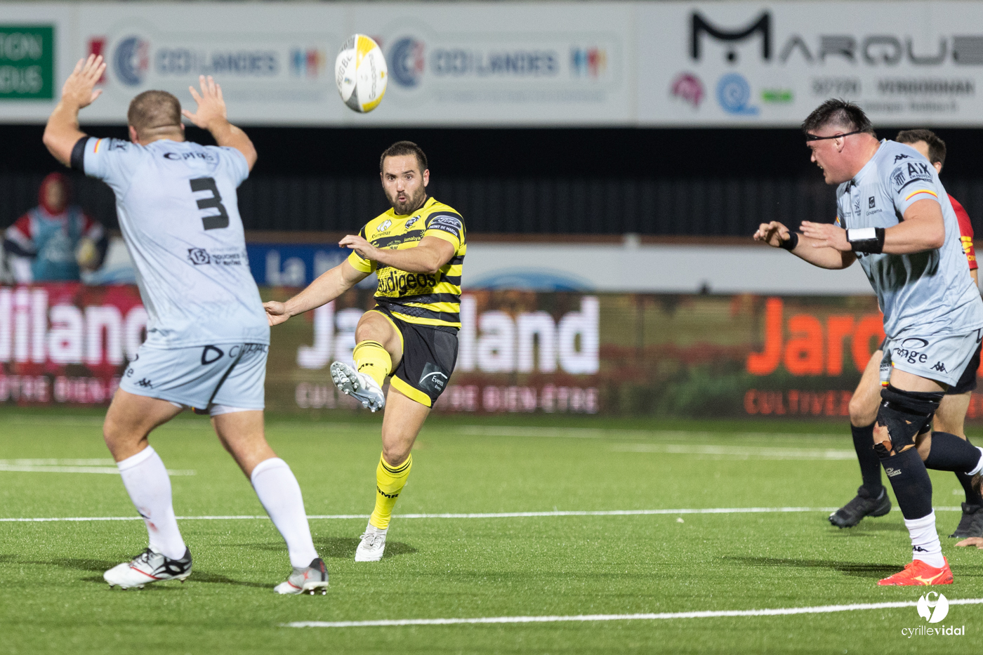 Stade Montois Rugby - Provence
