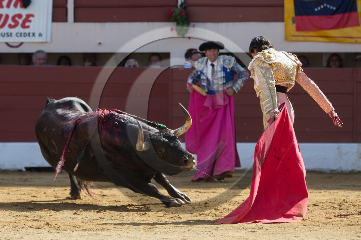 corrida, toro, vic fezensac, alcurrucen, michelito, morenito de aranda