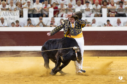 Dax concours landais 2022