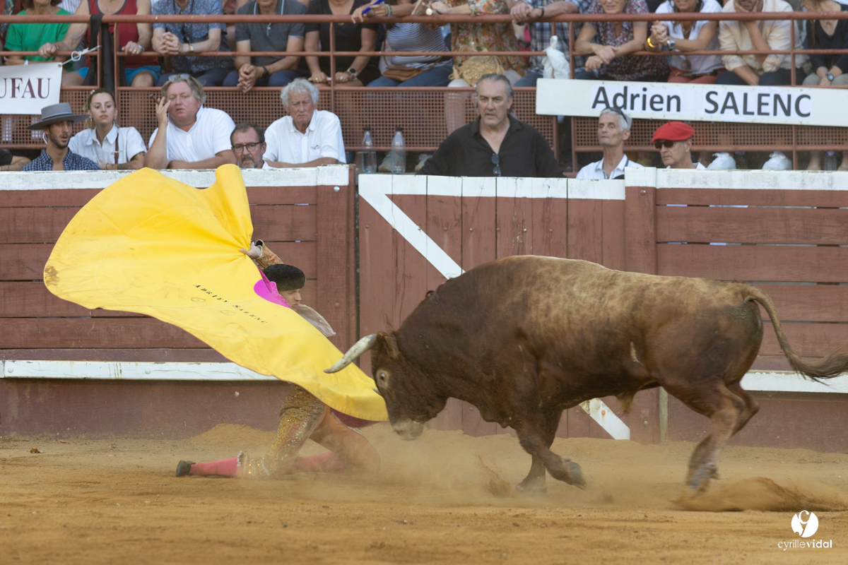 Corrida de Villeneuve-de-Marsan