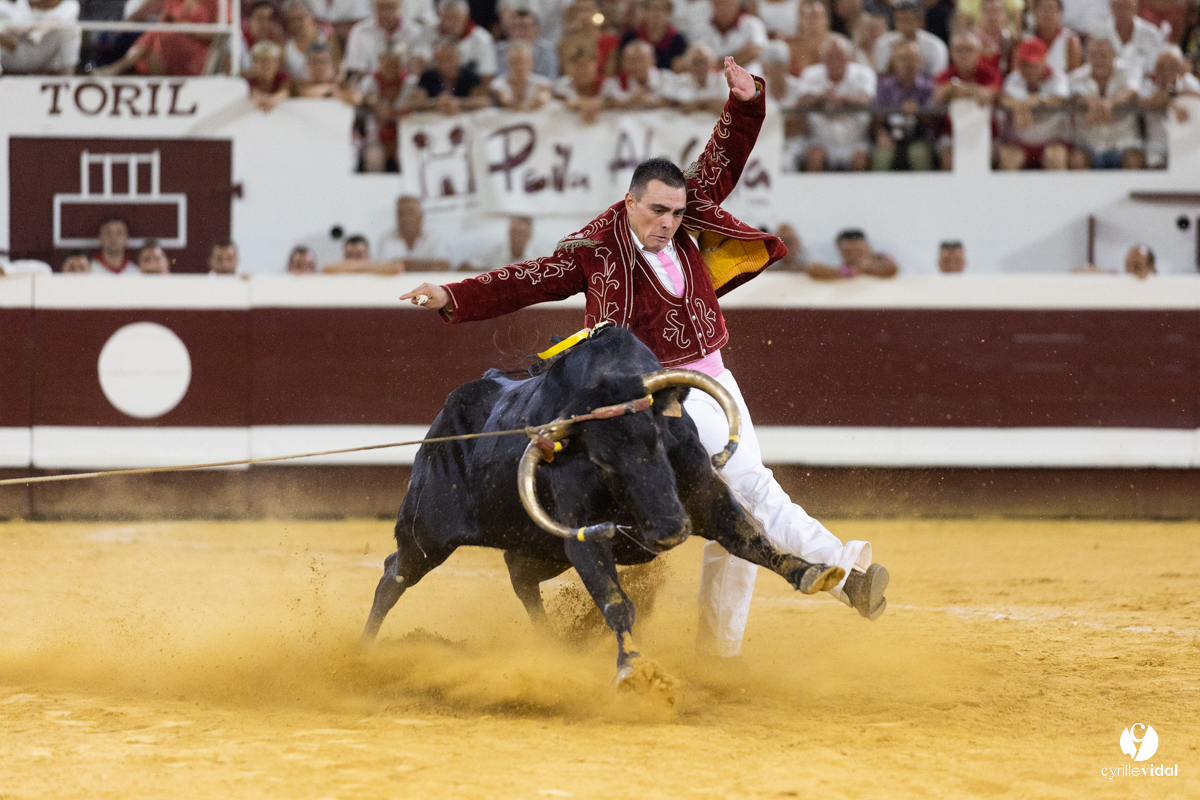 Dax concours landais 2022