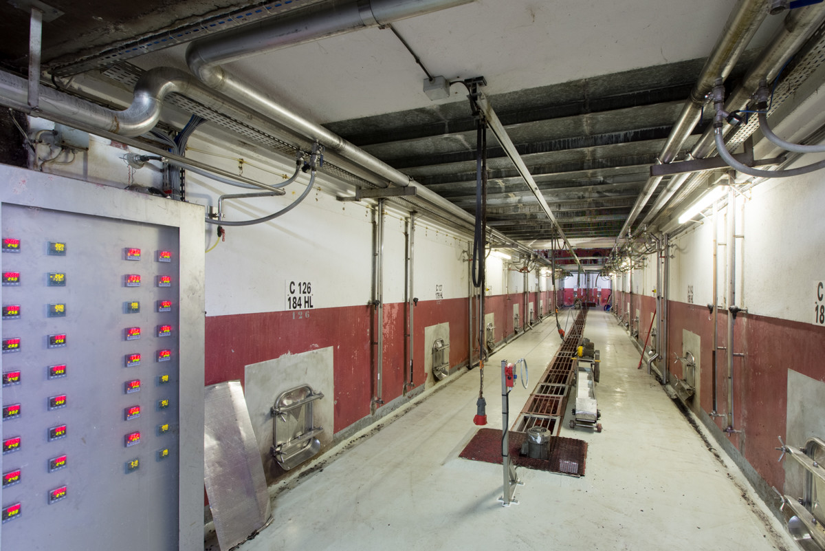 Cave de Labastide de Lévis