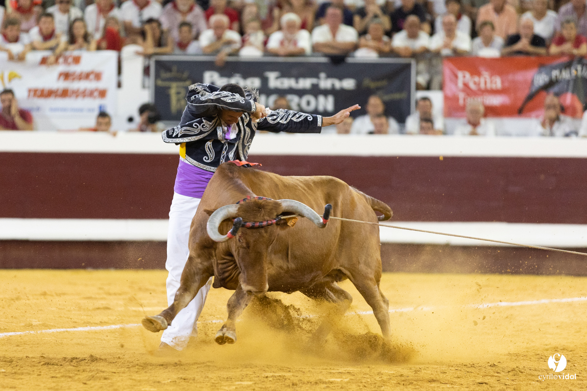 Dax concours landais 2022