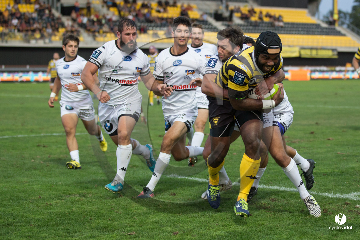 Rugby STADE MONTOIS - VANNES