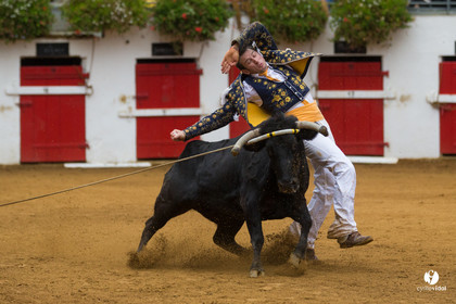Nogaro Championnatde France de Course Landaise 2017
