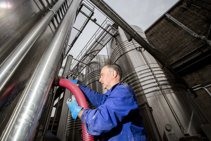 Cave de Labastide de Lévis