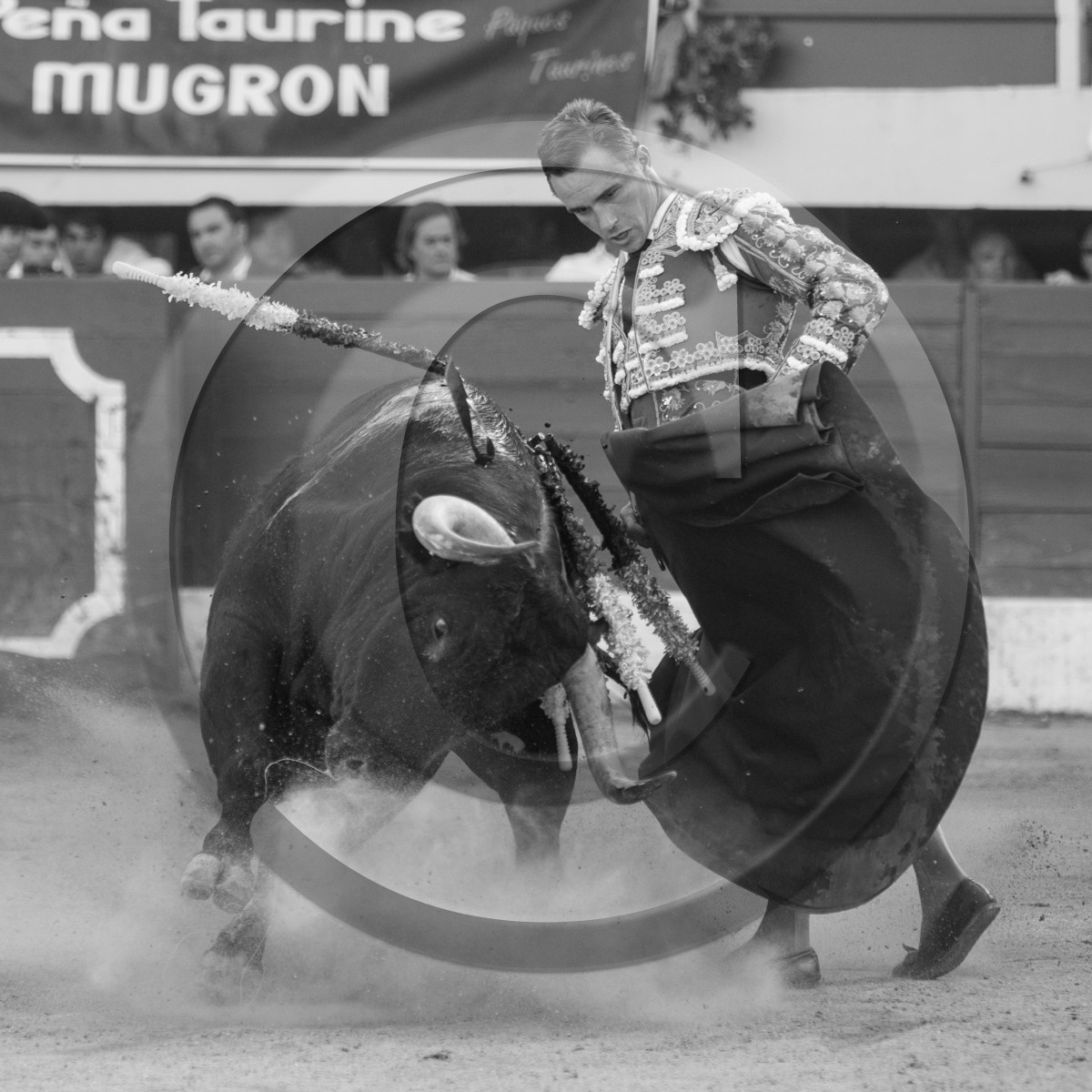 corrida, toro, vic fezensac, alcurrucen, michelito, morenito de aranda