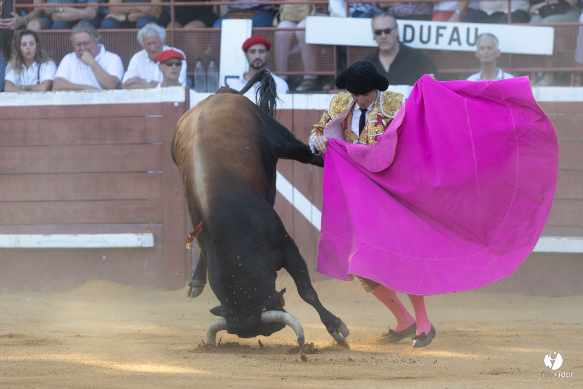 Corrida de Villeneuve-de-Marsan