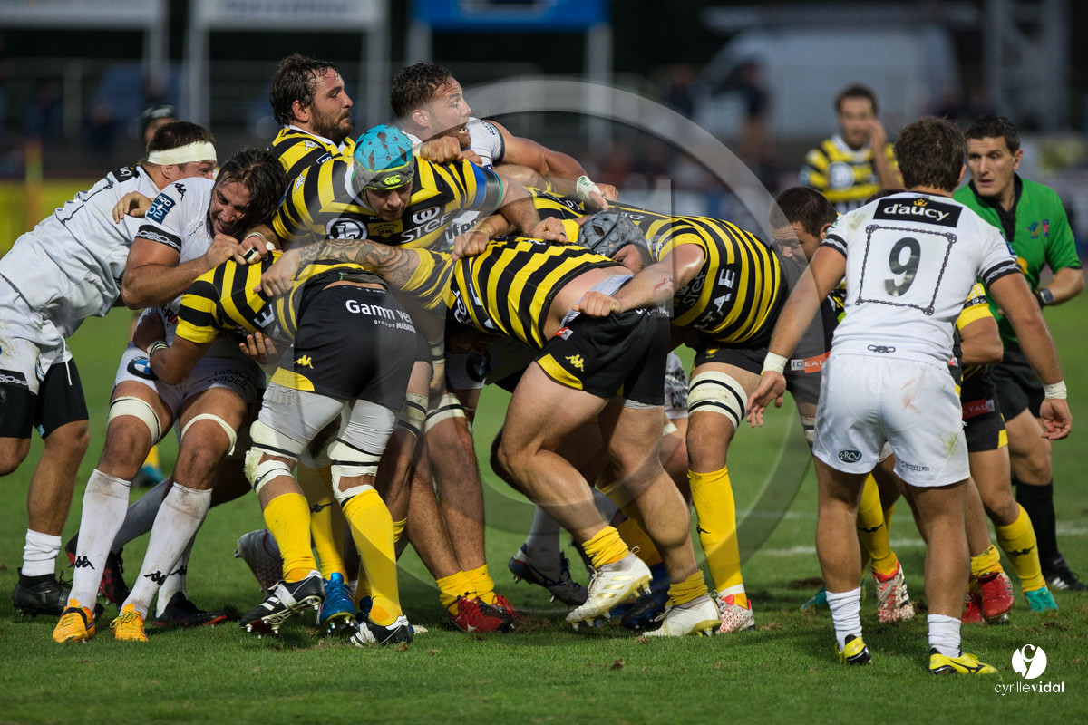 Rugby STADE MONTOIS - VANNES