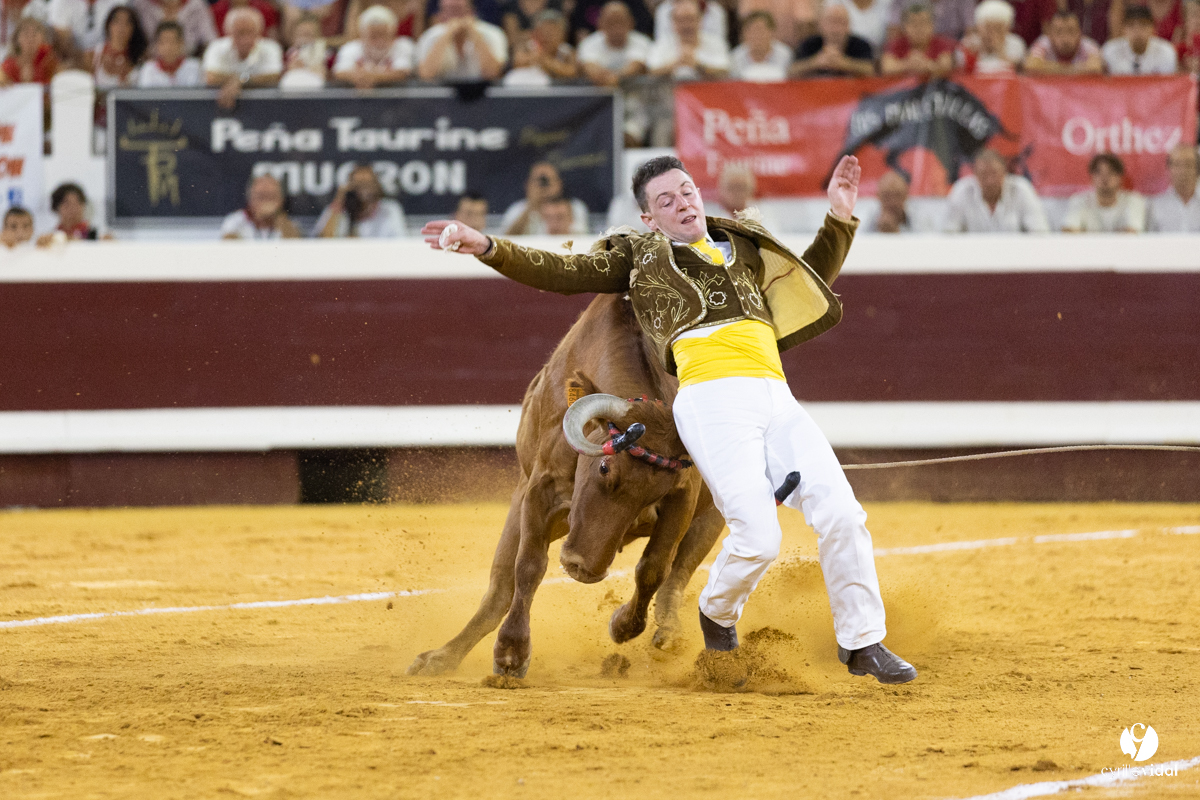 Dax concours landais 2022